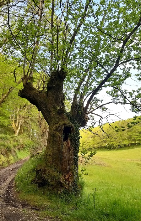 Der starke Anschein ist manchmal trügerisch...